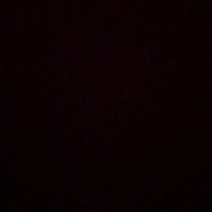 Meet your Posher, Tatiana